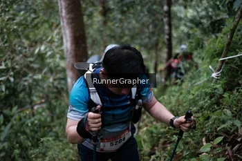 Runner Photo 105046