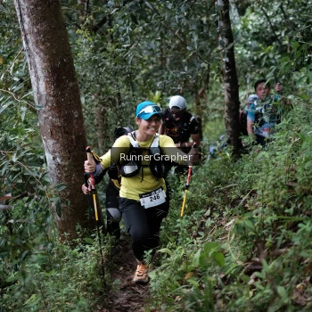 Runner Photo 105119