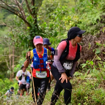 Runner Photo 105129