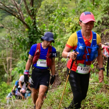Runner Photo 105135