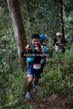 Runner Photo 105160