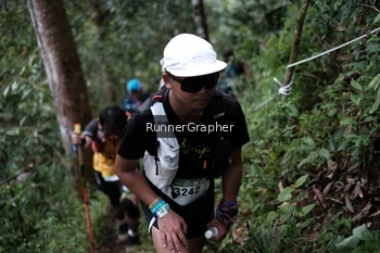 Runner Photo 105272