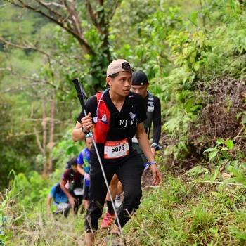 Runner Photo 105306