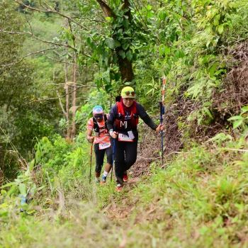Runner Photo 105390
