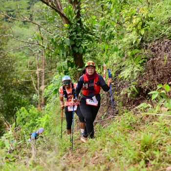 Runner Photo 105398