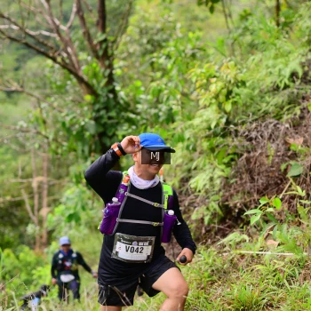Runner Photo 105452