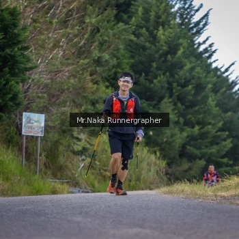 Runner Photo 105503