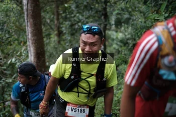 Runner Photo 105516