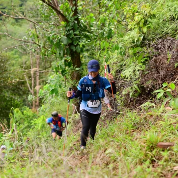 Runner Photo 105531