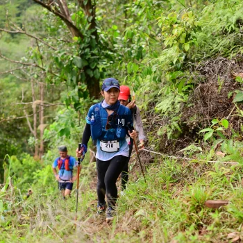 Runner Photo 105535