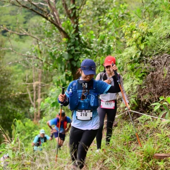 Runner Photo 105549