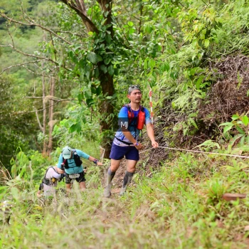 Runner Photo 105571