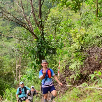 Runner Photo 105580