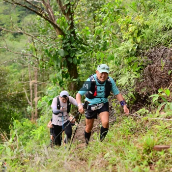 Runner Photo 105591