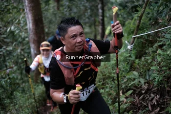 Runner Photo 105621