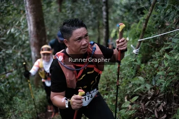 Runner Photo 105627