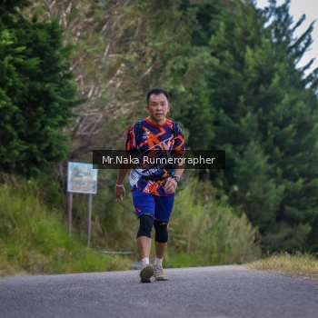 Runner Photo 105631
