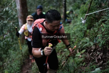 Runner Photo 105633