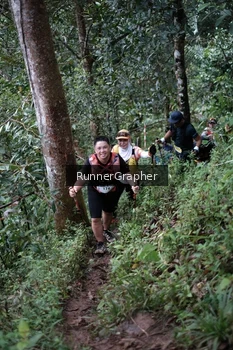 Runner Photo 105643