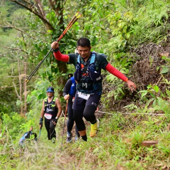 Runner Photo 105661