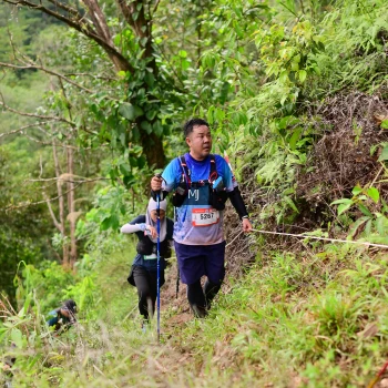 Runner Photo 105701