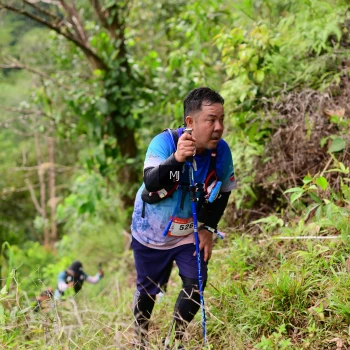 Runner Photo 105706