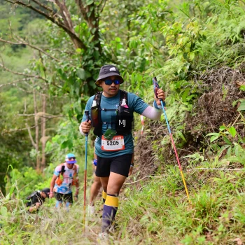 Runner Photo 105727
