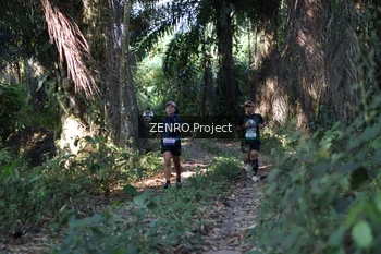 Runner Photo 1058064