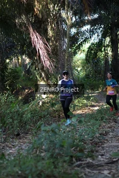 Runner Photo 1058072