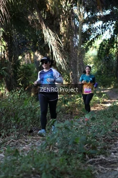 Runner Photo 1058076