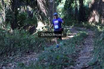 Runner Photo 1058084