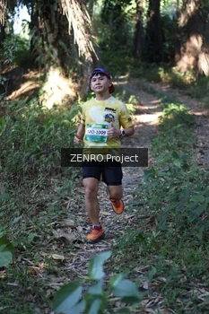 Runner Photo 1058101