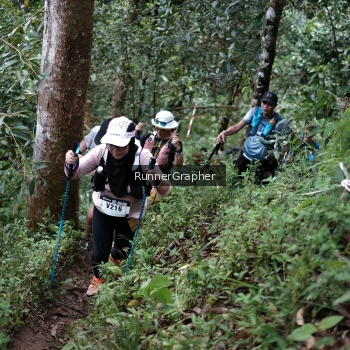 Runner Photo 105811