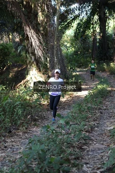 Runner Photo 1058112