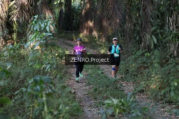 Runner Photo 1058146
