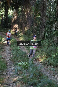 Runner Photo 1058180