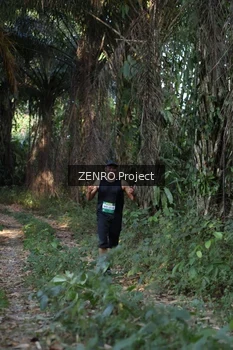 Runner Photo 1058207
