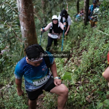 Runner Photo 105840