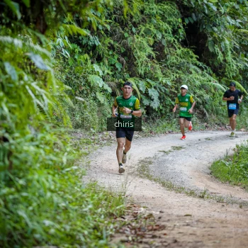 Runner Photo 1058982