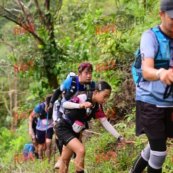 Runner Photo 105997