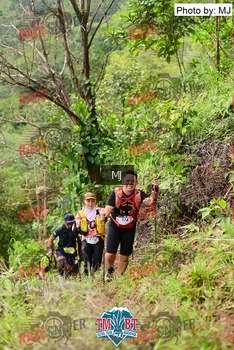Runner Photo 106038