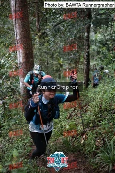 Runner Photo 106519