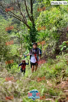 Runner Photo 106793