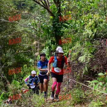 Runner Photo 106899