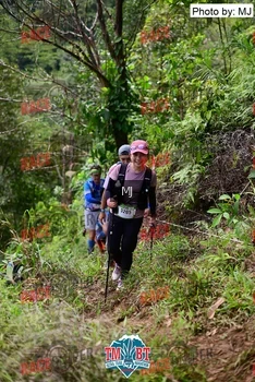 Runner Photo 107156