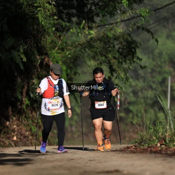Runner Photo 1073835