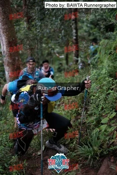 Runner Photo 107700