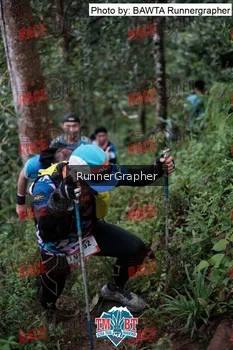 Runner Photo 107701