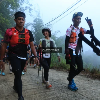 Runner Photo 1079014