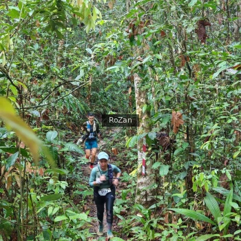 Runner Photo 1085725